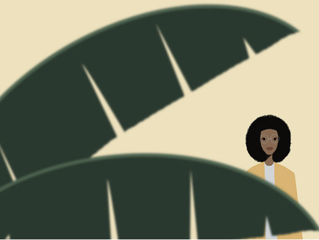 Yellowzine gallery image