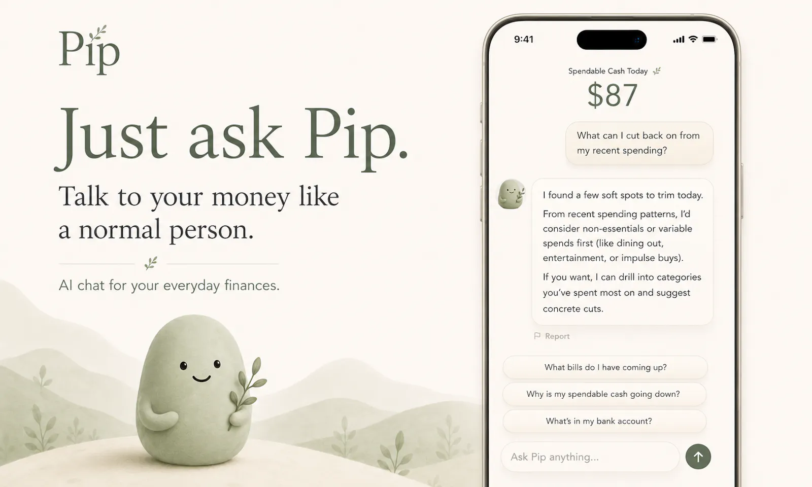 Pip screenshot 1