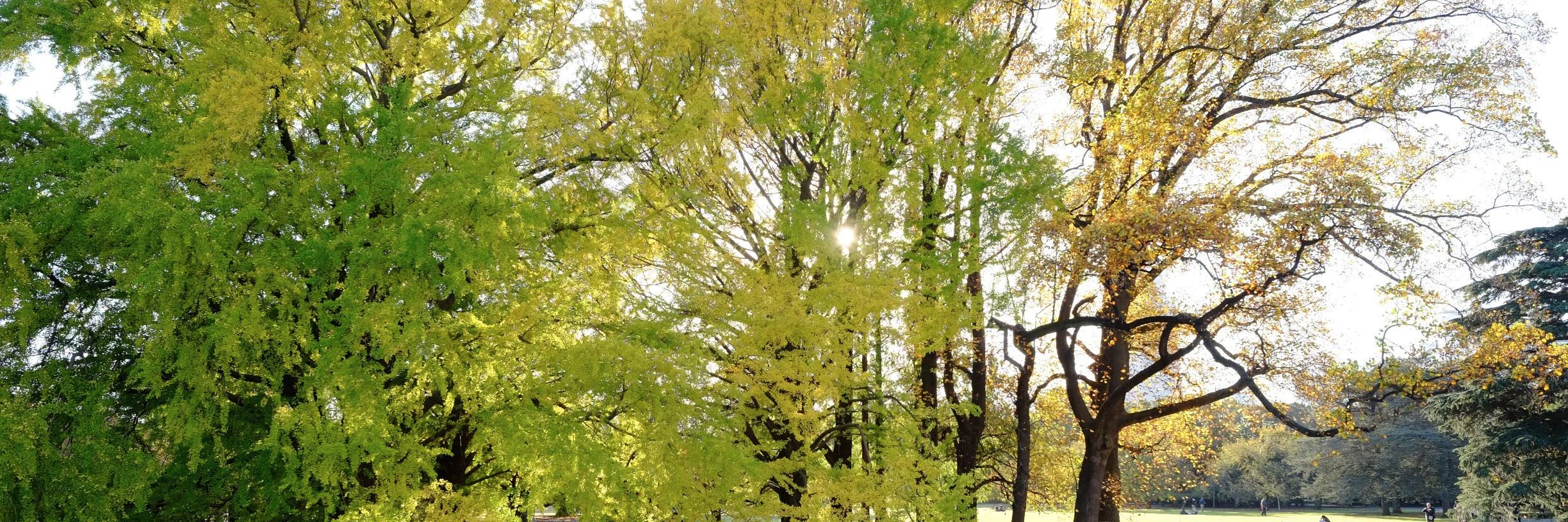 Pierre-Olivier Latour cover