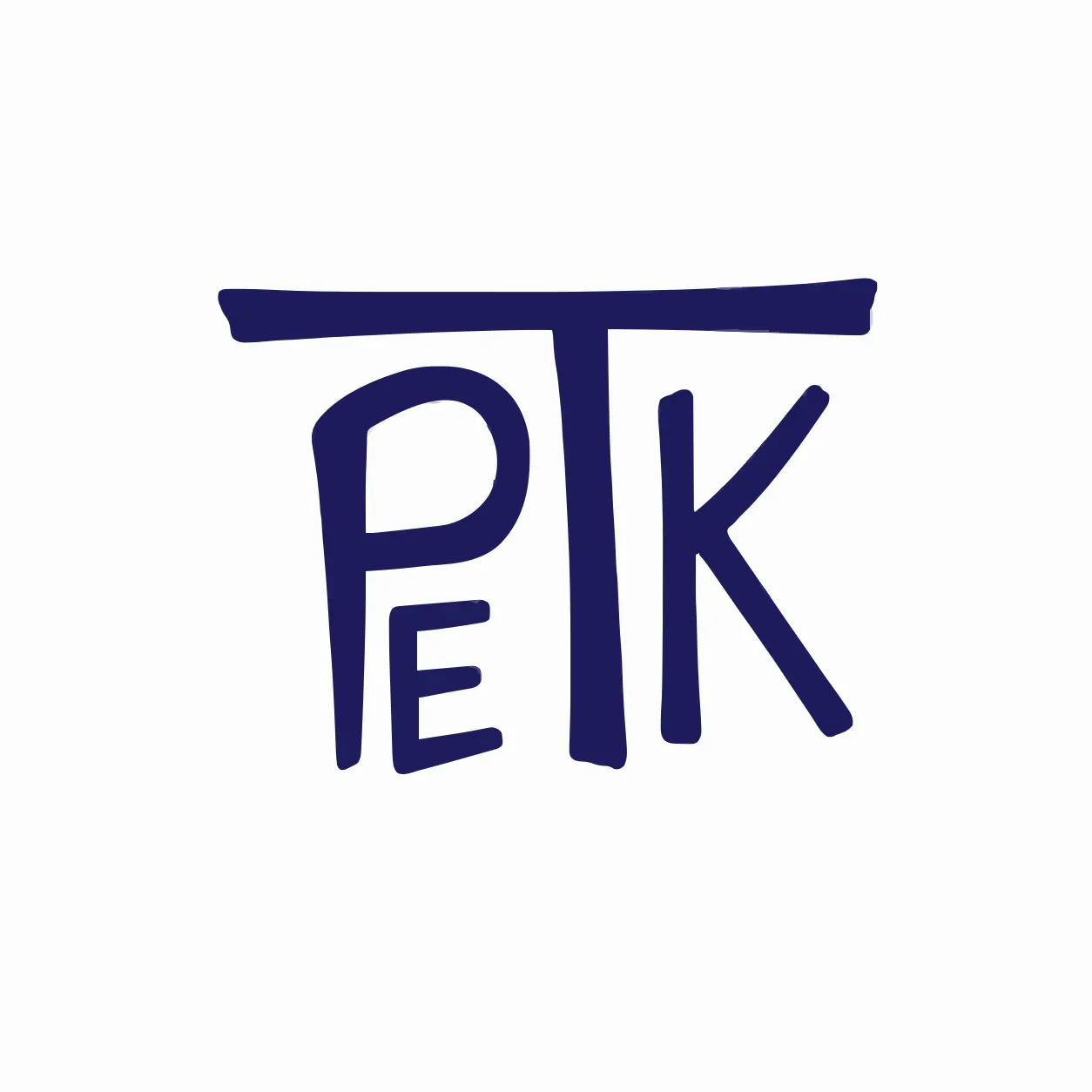 Pe Tech Knowledge — NSE Stock Research