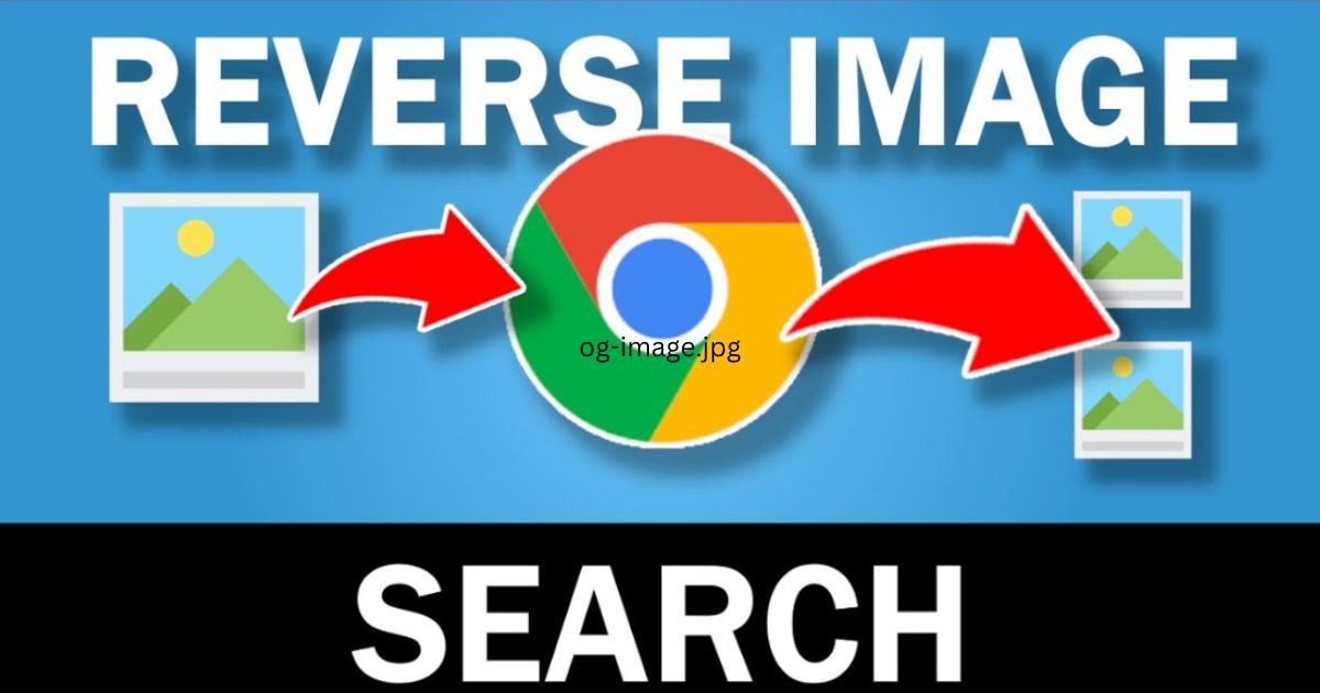 Reverse Image Search gallery image