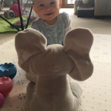 Interactive Peek-a-Boo Elephant Toy gallery image
