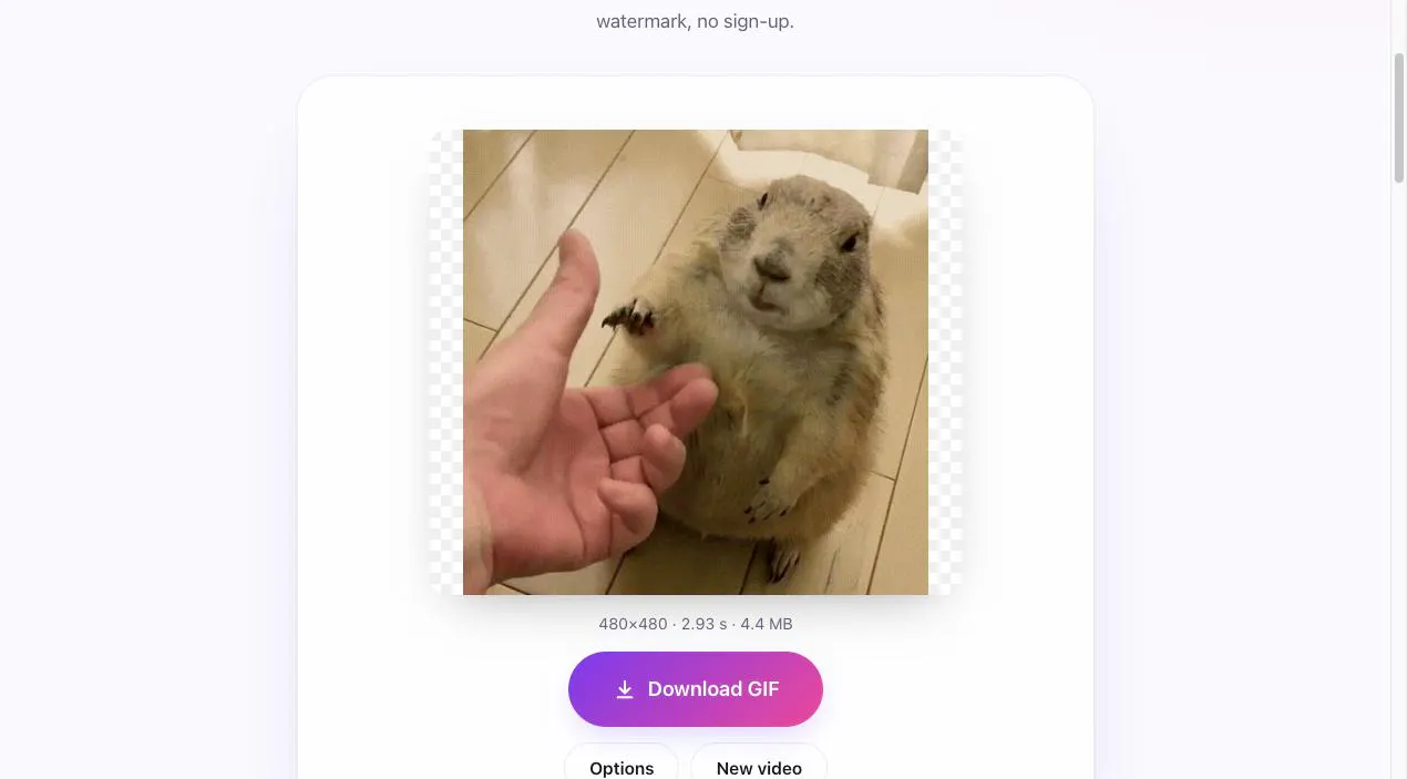 Convert Video to GIF gallery image