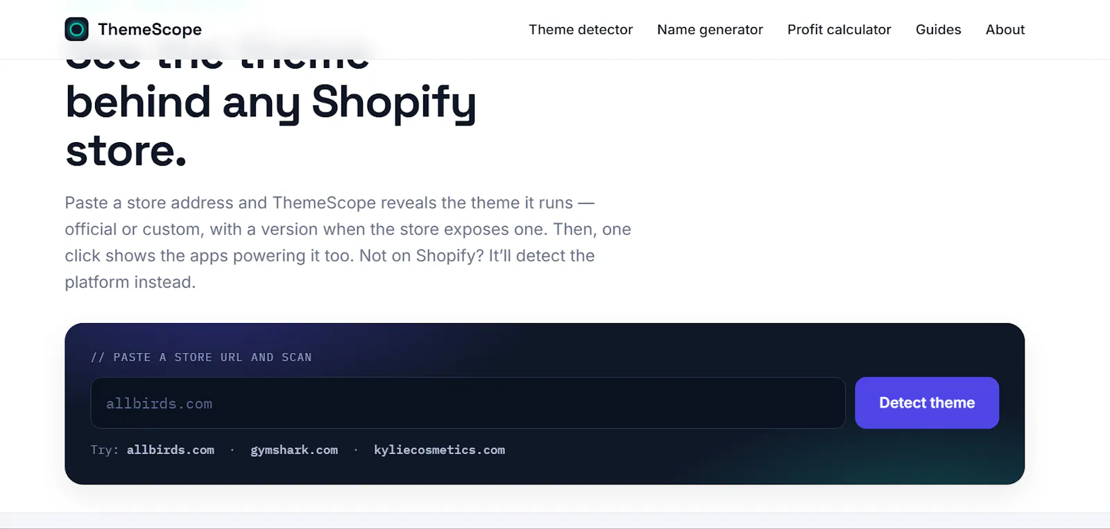 ThemeScope — Free Shopify Theme Detector screenshot 2