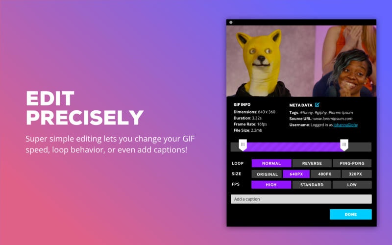 Giphy Cam Image