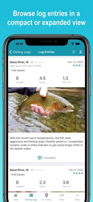 Fish Swami gallery image