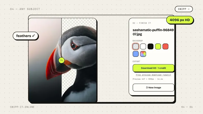 Snipp screenshot 1 (video preview)