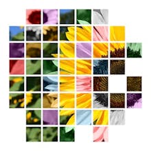 Magic Effect on Photos gallery image