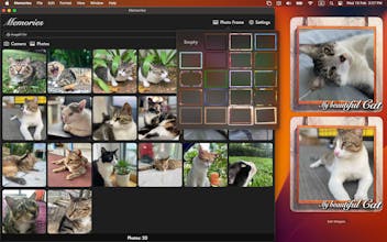 Memories: Photo Widget gallery image