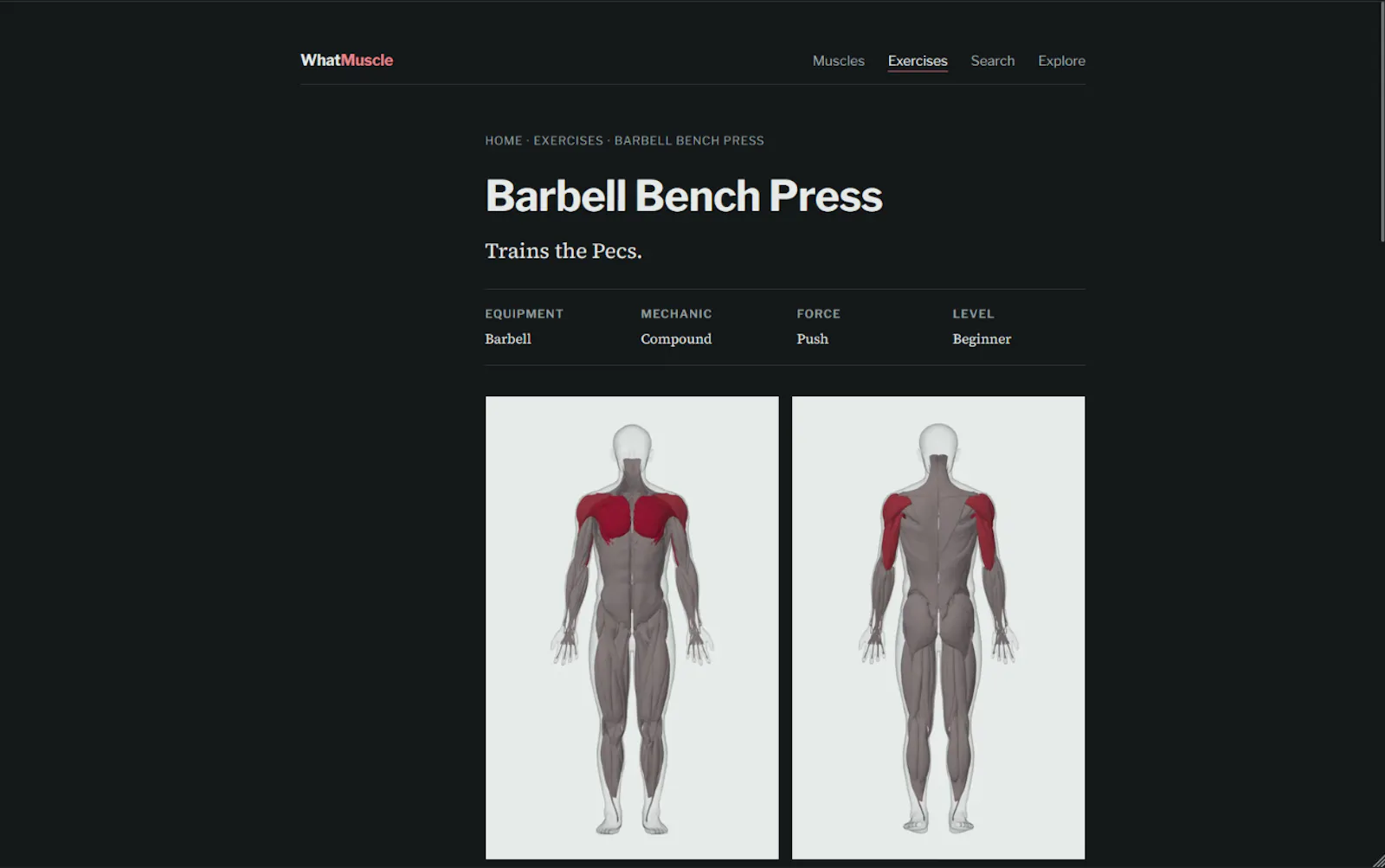 WhatMuscle screenshot 4