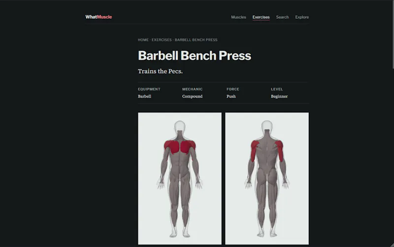 WhatMuscle screenshot 4