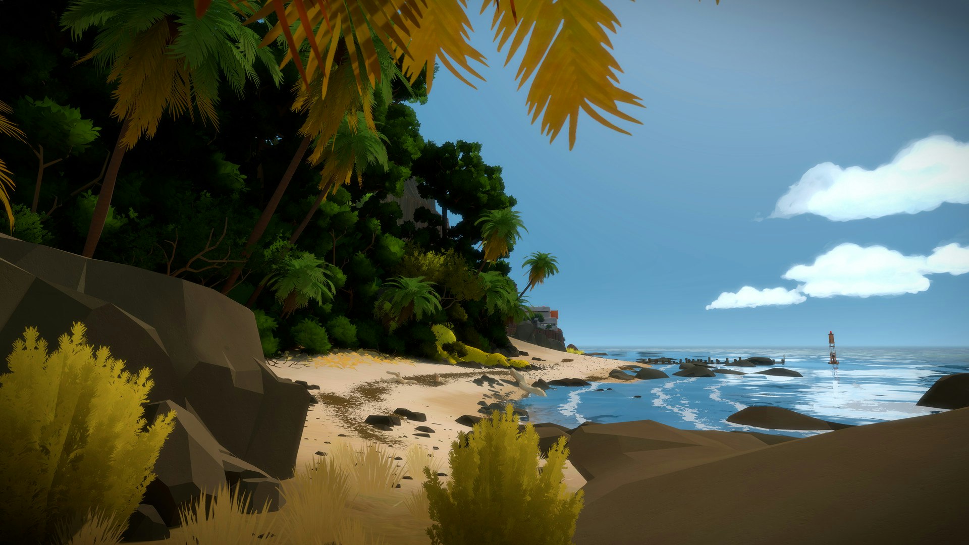 The Witness Image