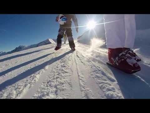 Sled Dogs Snow Skates