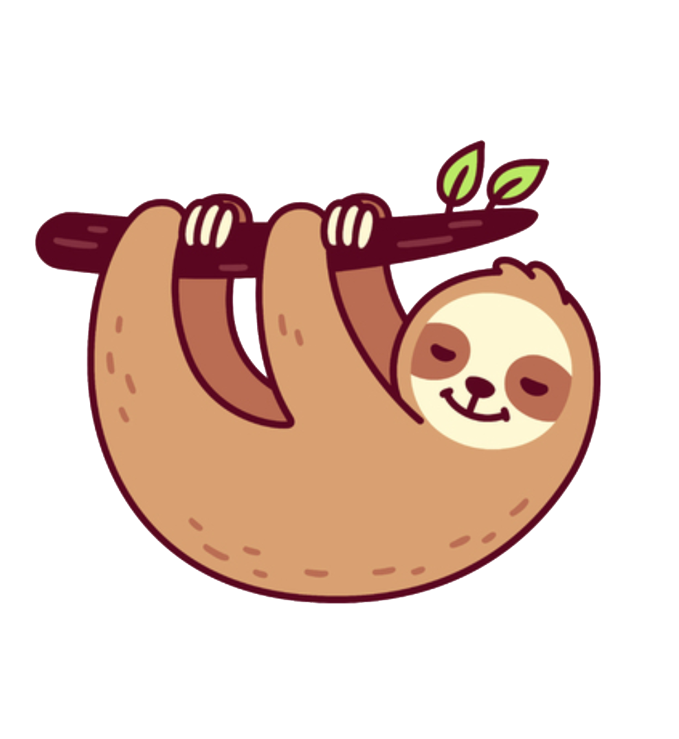 AuthSloth