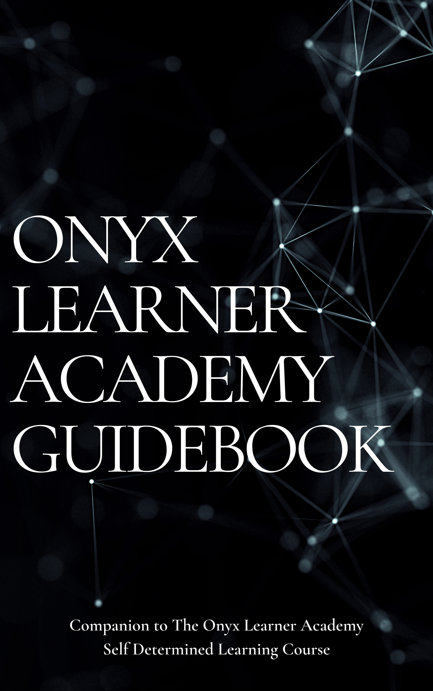 Onyx Learner Academy gallery image