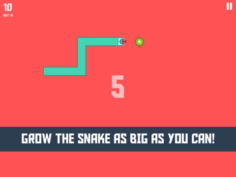 Silly Snake gallery image
