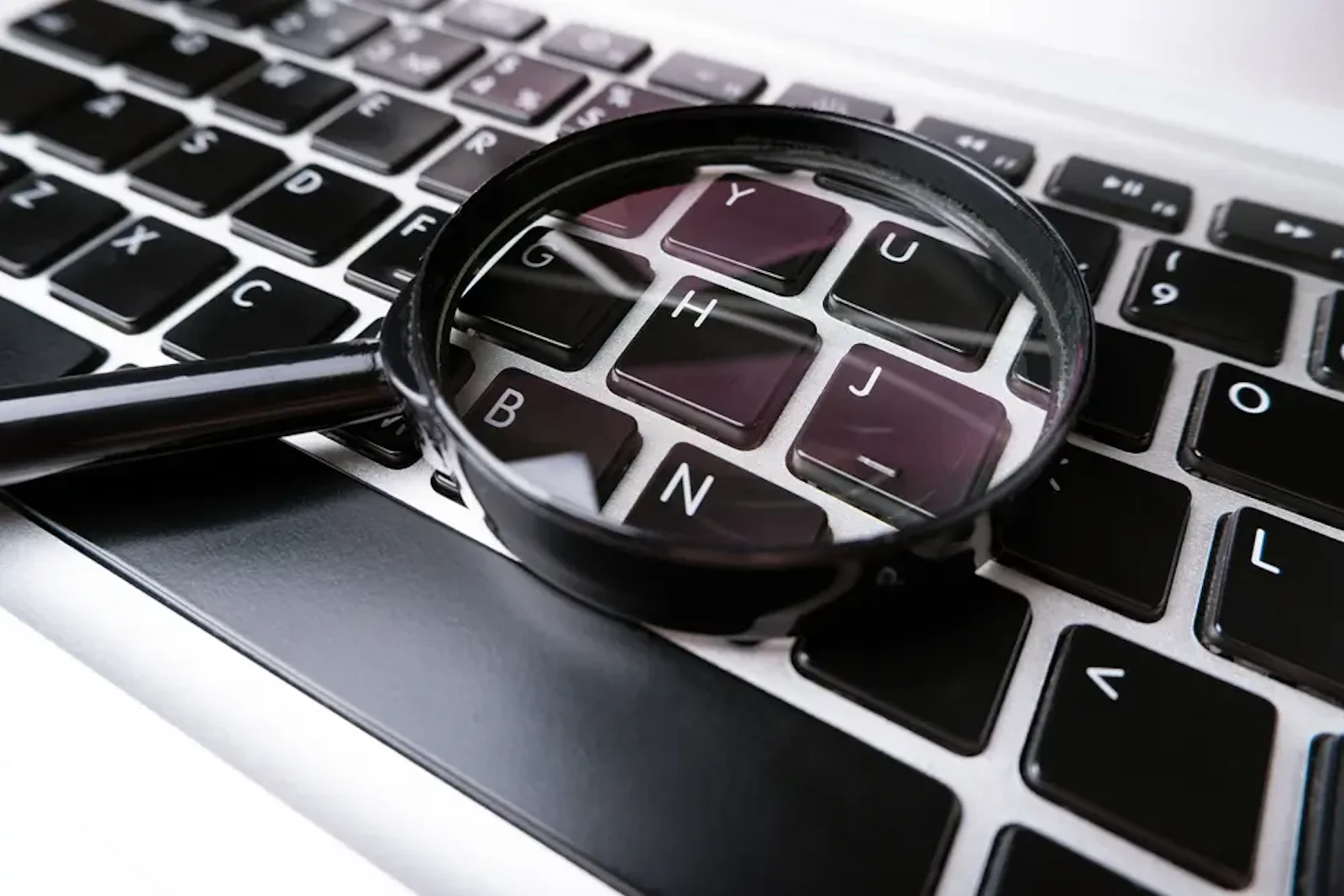 SEO Audit Tool screenshot 1