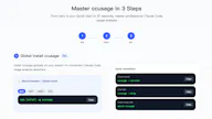 How to use ccusage