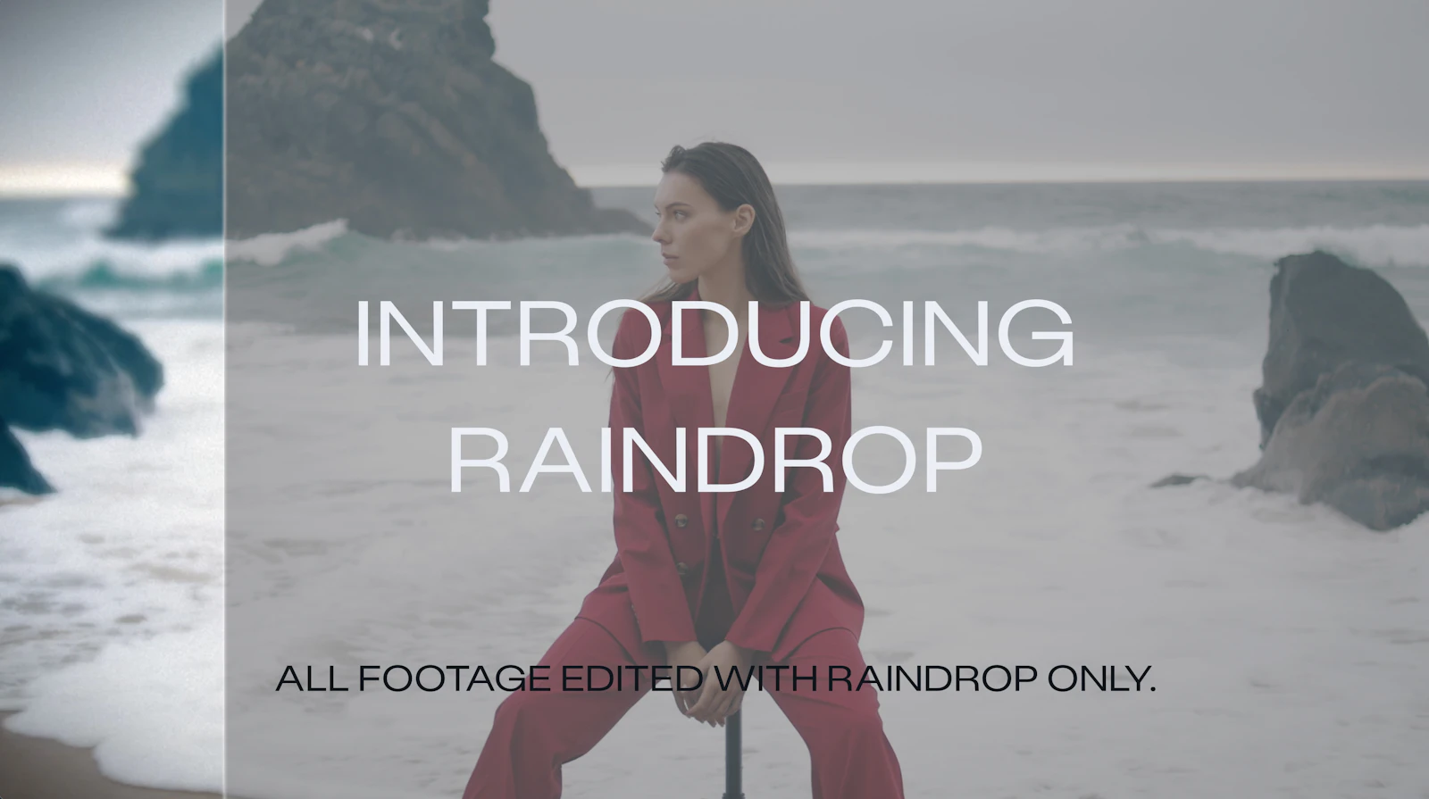 Raindrop screenshot 2