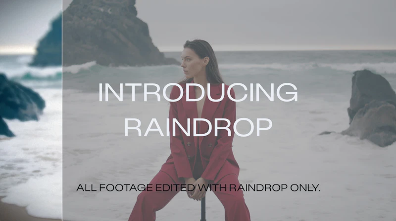 Raindrop screenshot 2