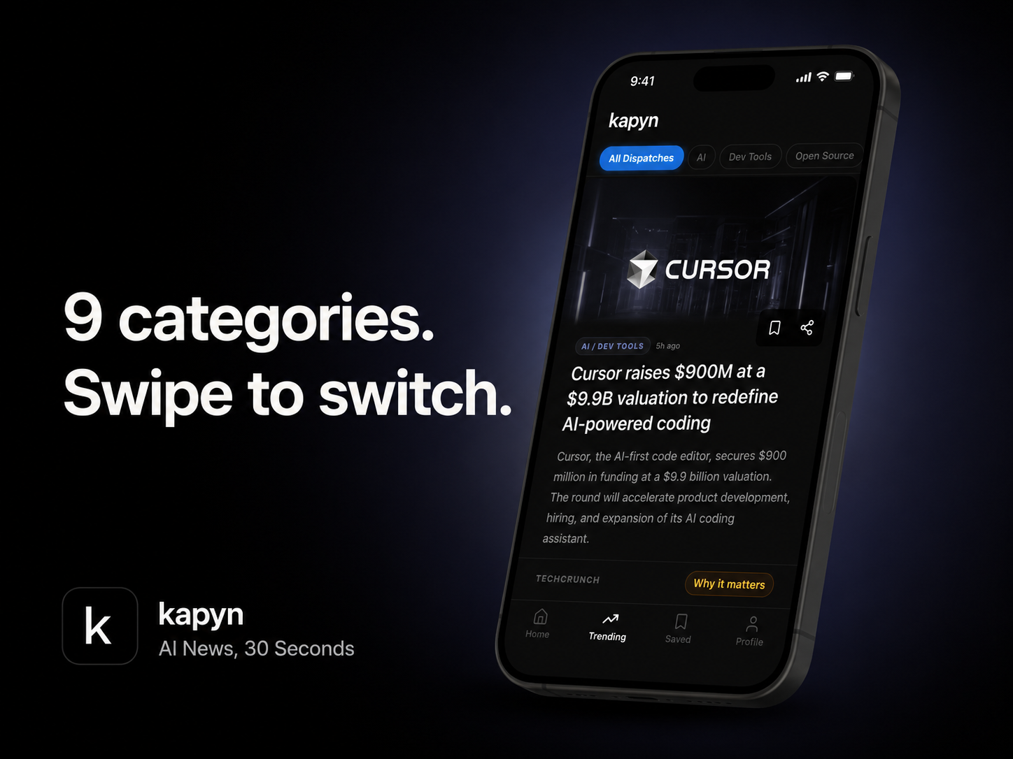 Kapyn gallery image