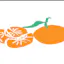 Tangerine Health