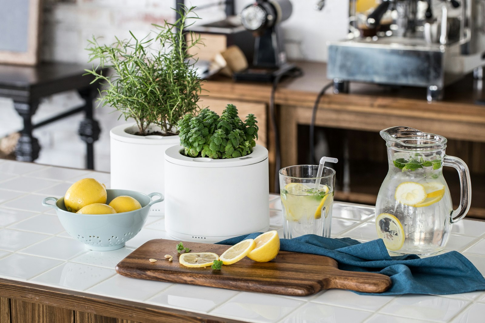 planty gallery image