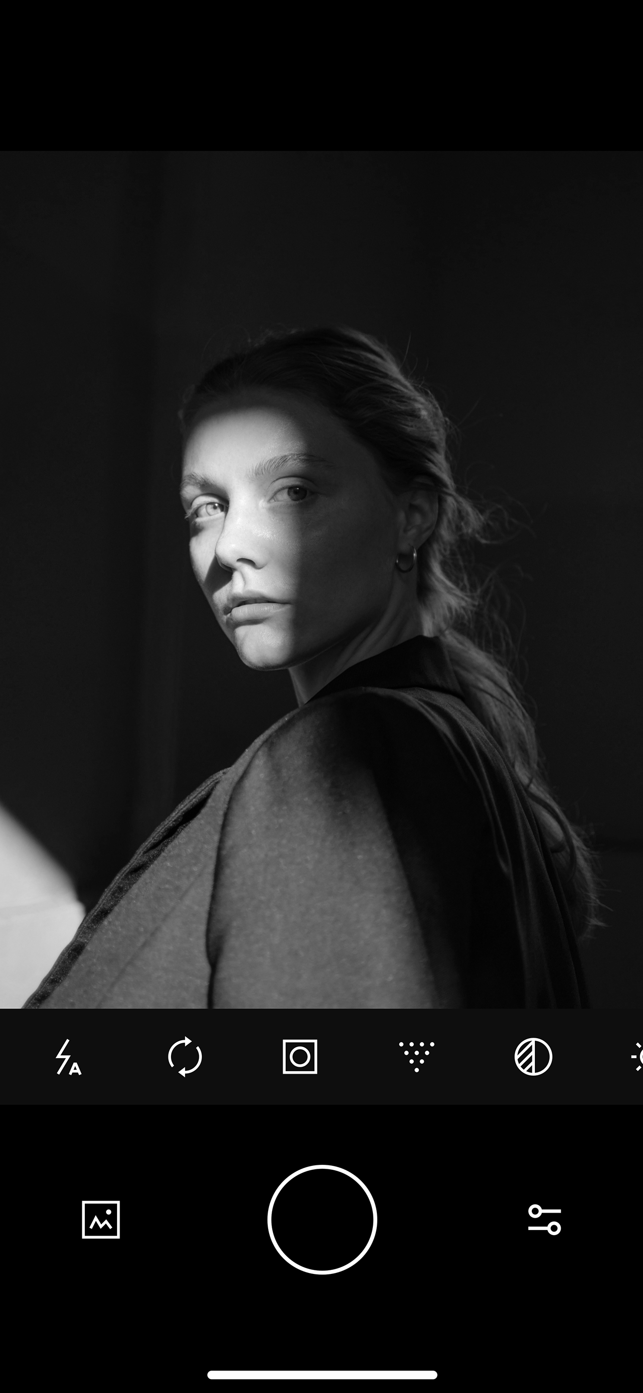 RavenCam gallery image