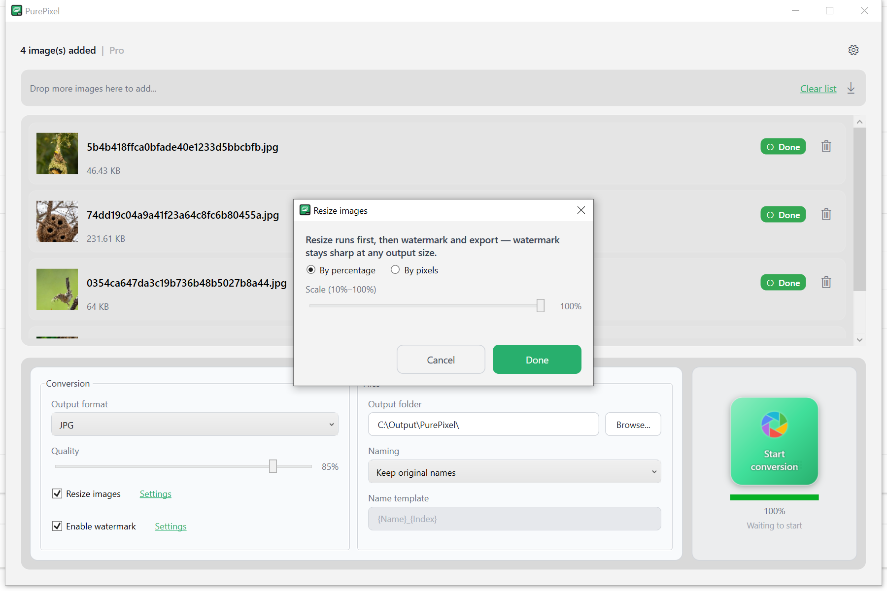 PurePixel gallery image