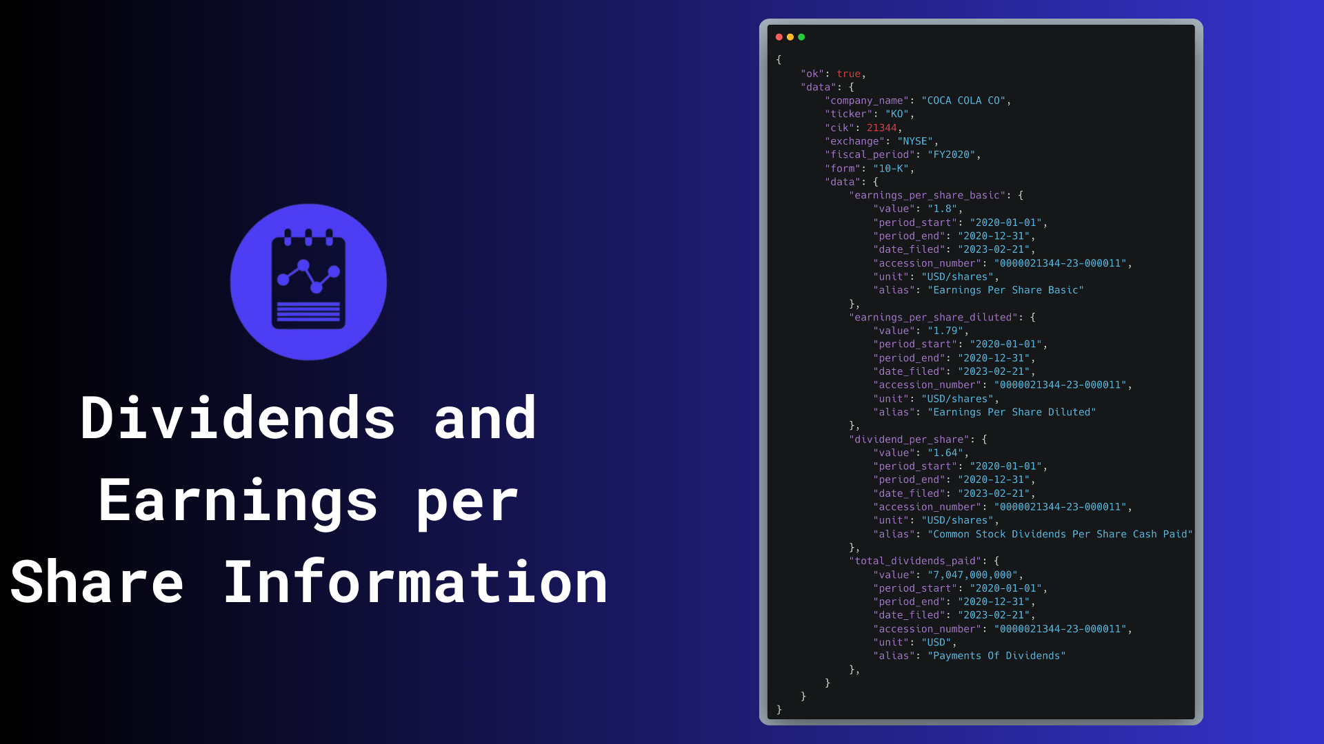 SEC Financial Reports API - Screenshot 2 showing product features and functionality
