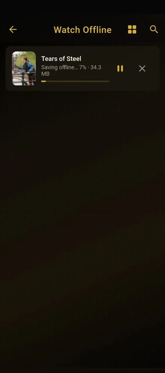 Black IPTV gallery image