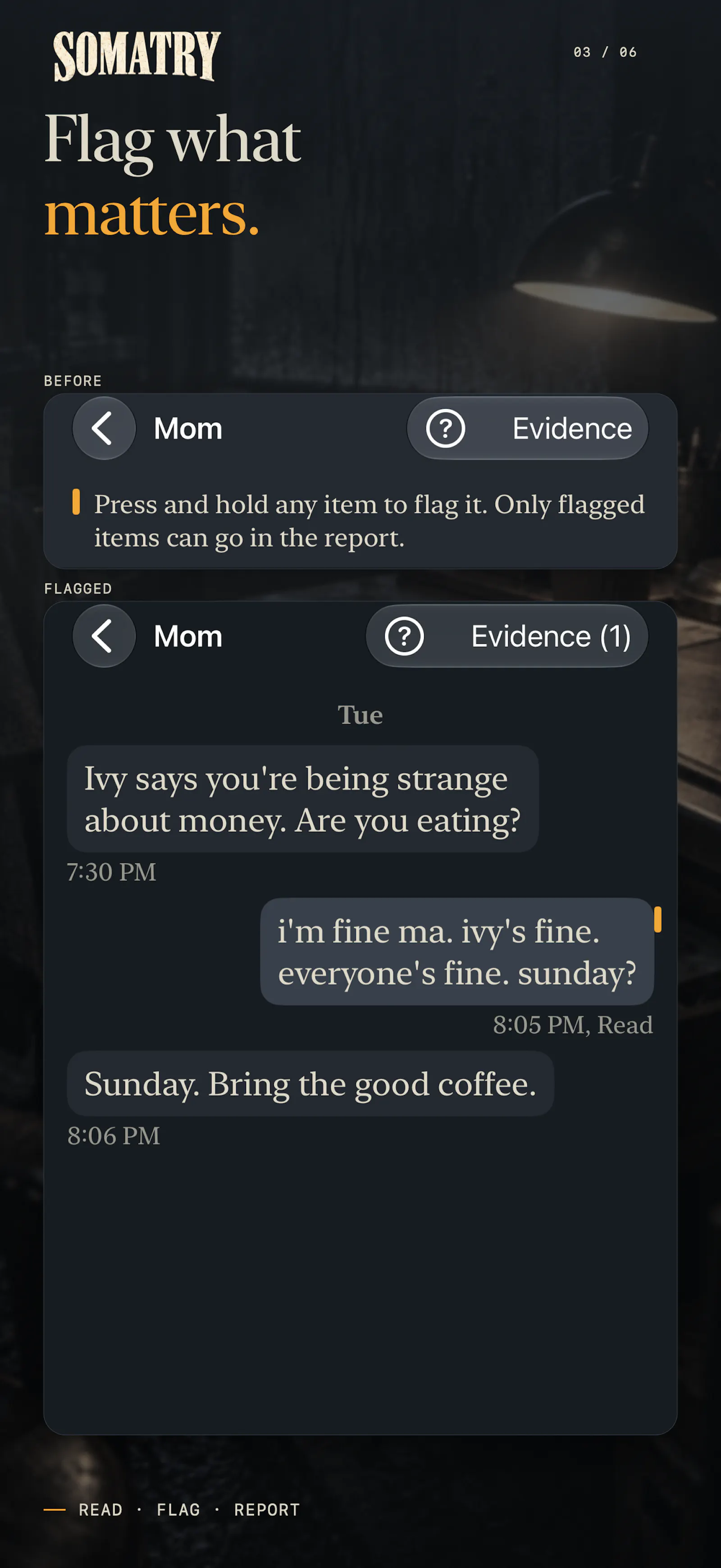 Somatry: Cold Case Mystery screenshot 3