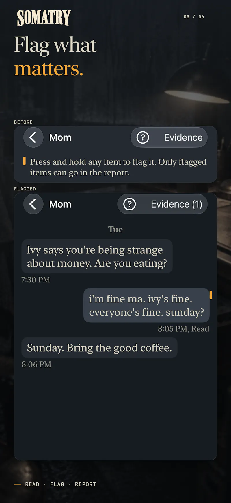 Somatry: Cold Case Mystery screenshot 3