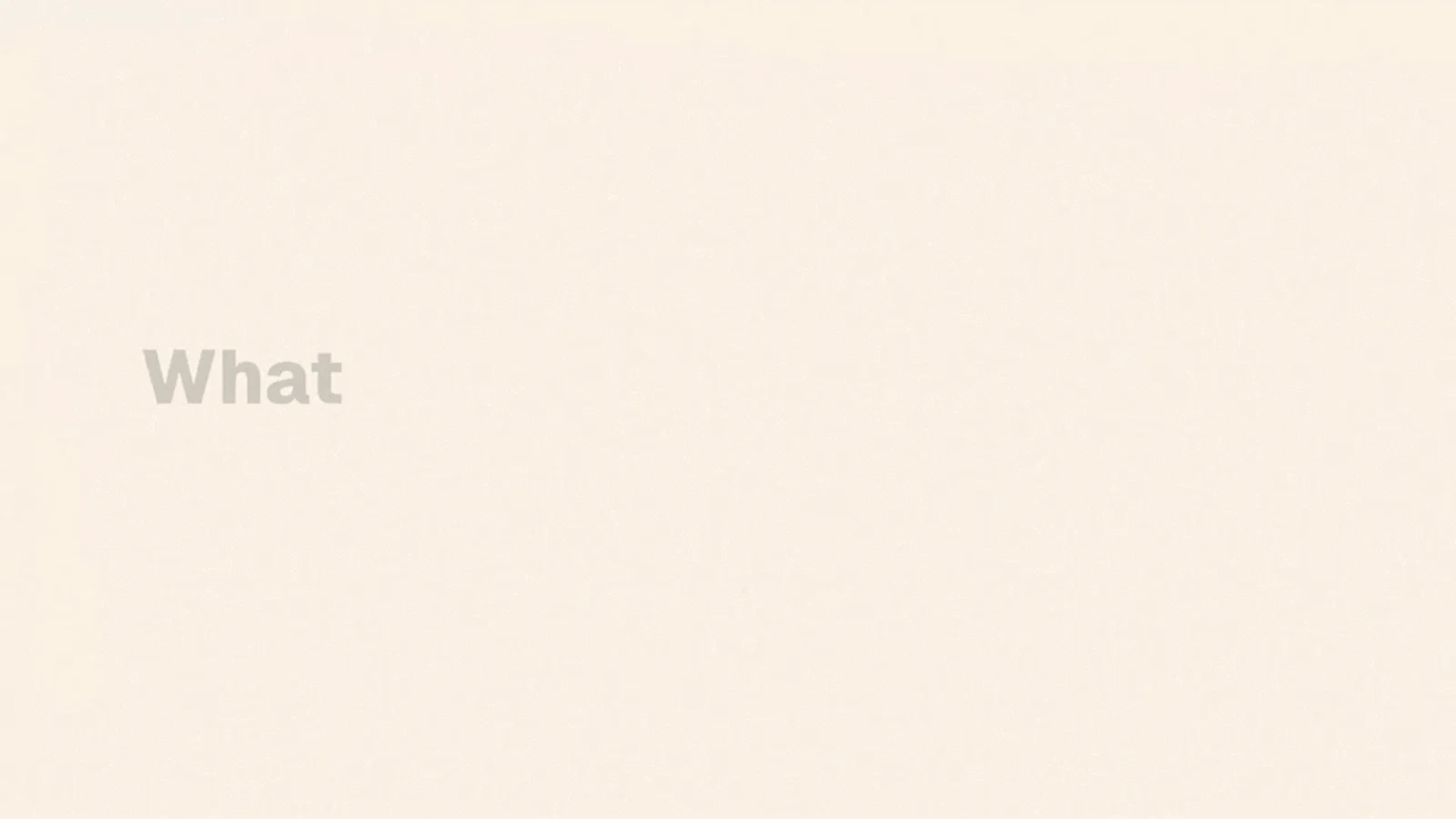 ExpensePal screenshot 1 (video preview)