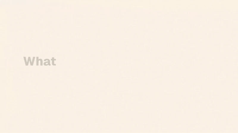 ExpensePal screenshot 1 (video preview)
