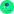 Lacryptoguia