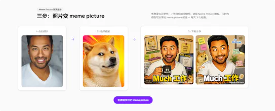 Meme Picture gallery image