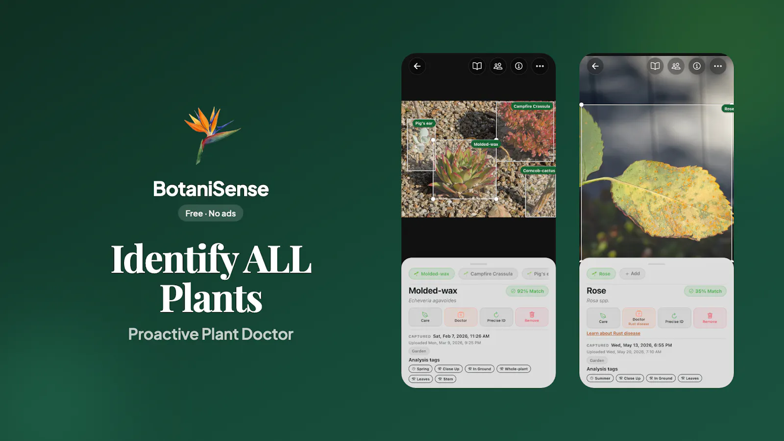 BotaniSense screenshot 2