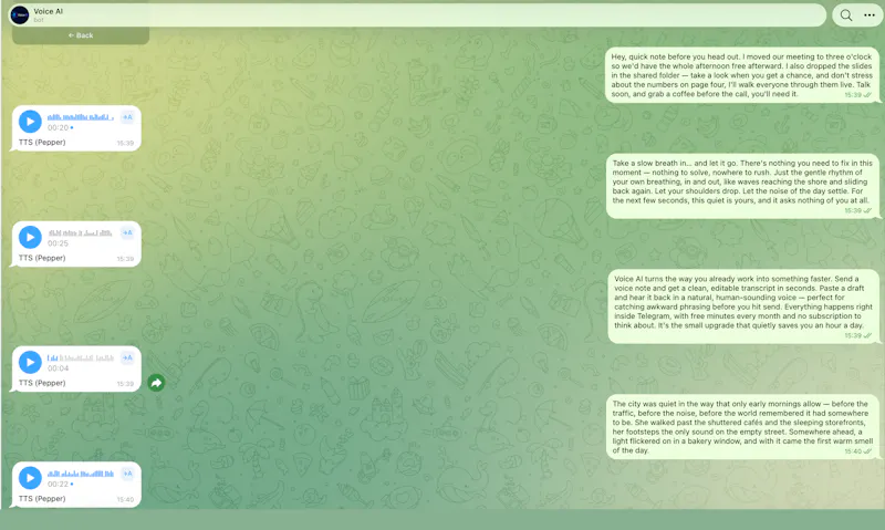 Voice AI screenshot 2