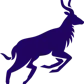 NYALA Digital Asset