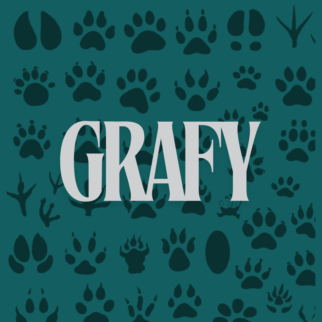 Grafy