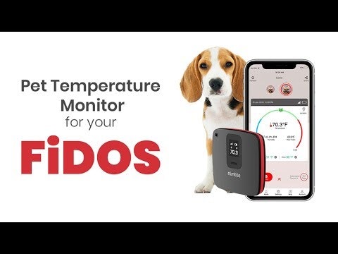 Pet Monitor 4G Lite gallery image