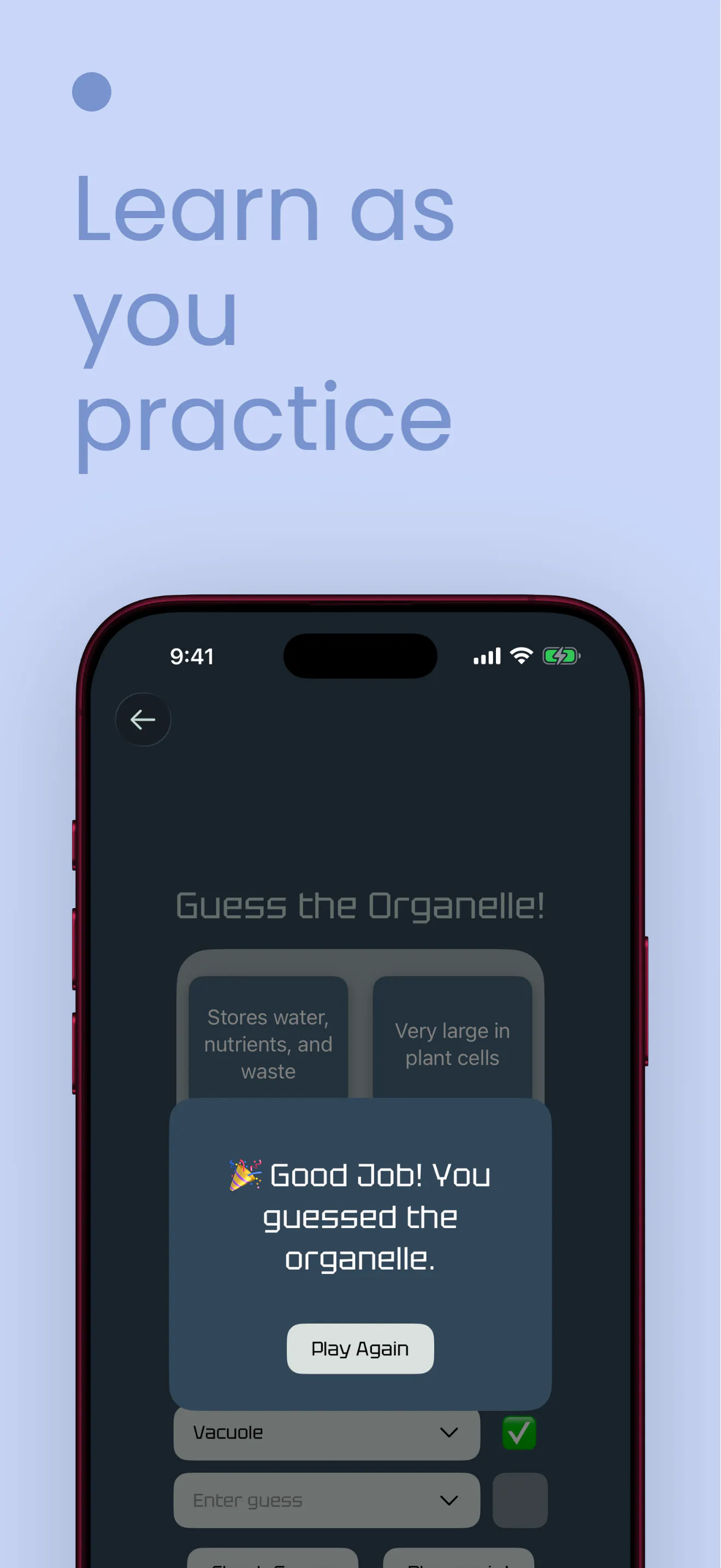 BioGuesser: Organelles gallery image