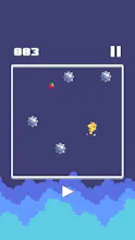 Spinny Bird gallery image