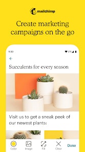 Mailchimp gallery image