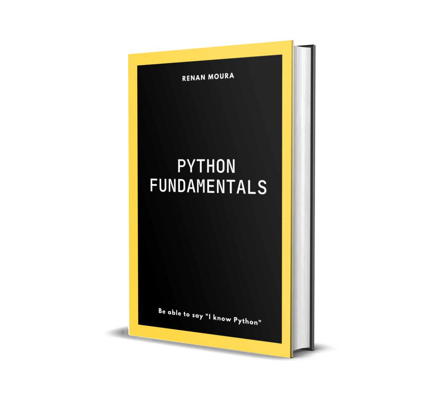 Python Fundamentals gallery image