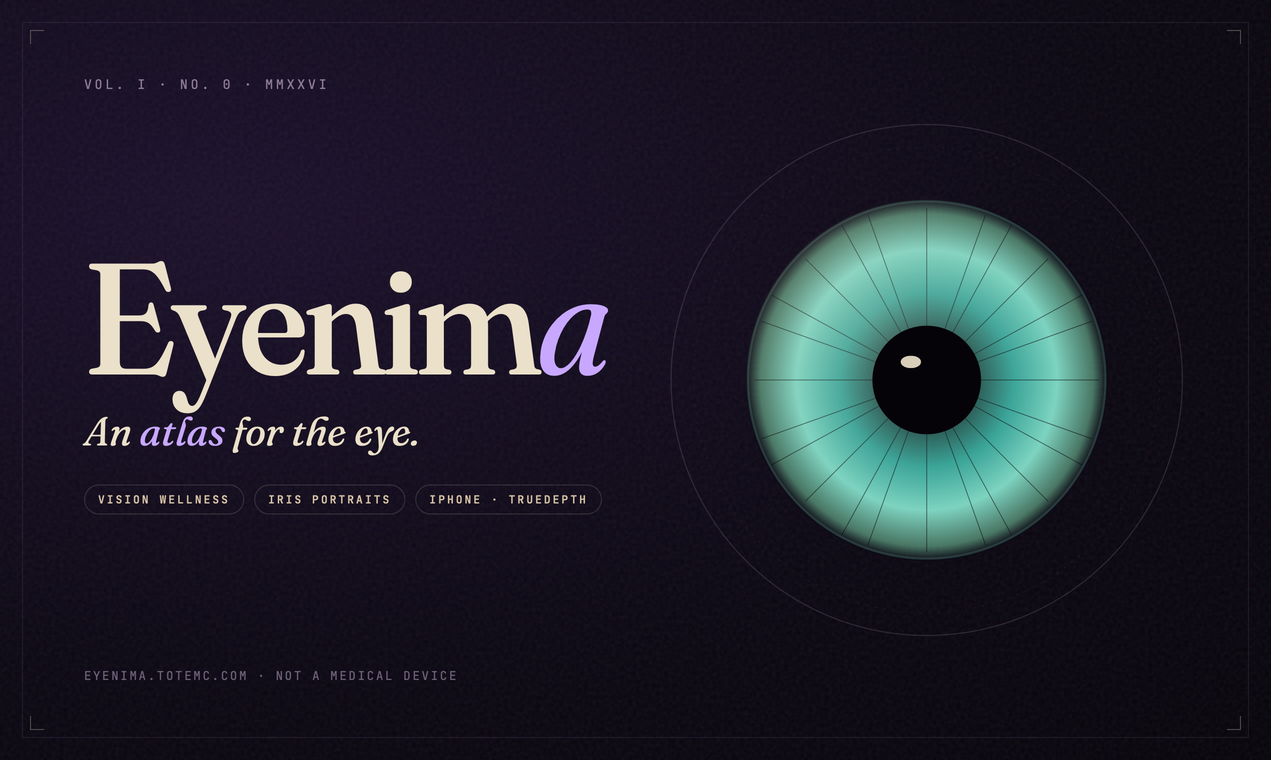 Eyenima · An atlas for the eye gallery image