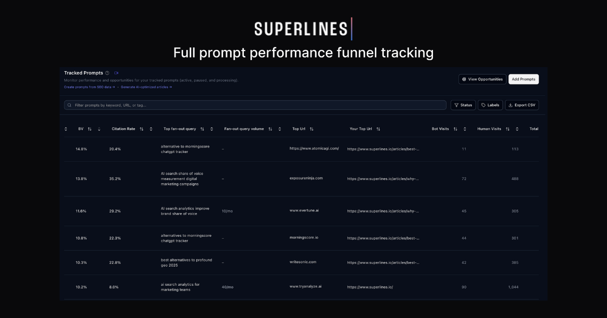 Superlines AI Search Analytics Platform gallery image