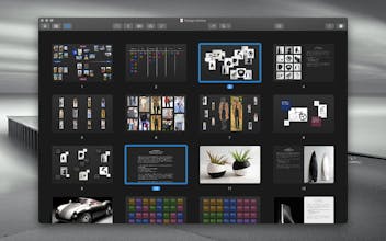 Storme gallery image