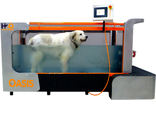 Oasis - Underwater Treadmills for Dogs 